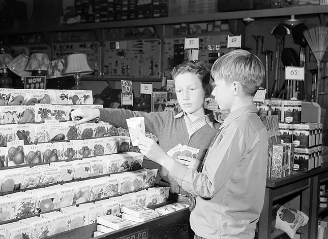Buying seeds for a victory garden 
